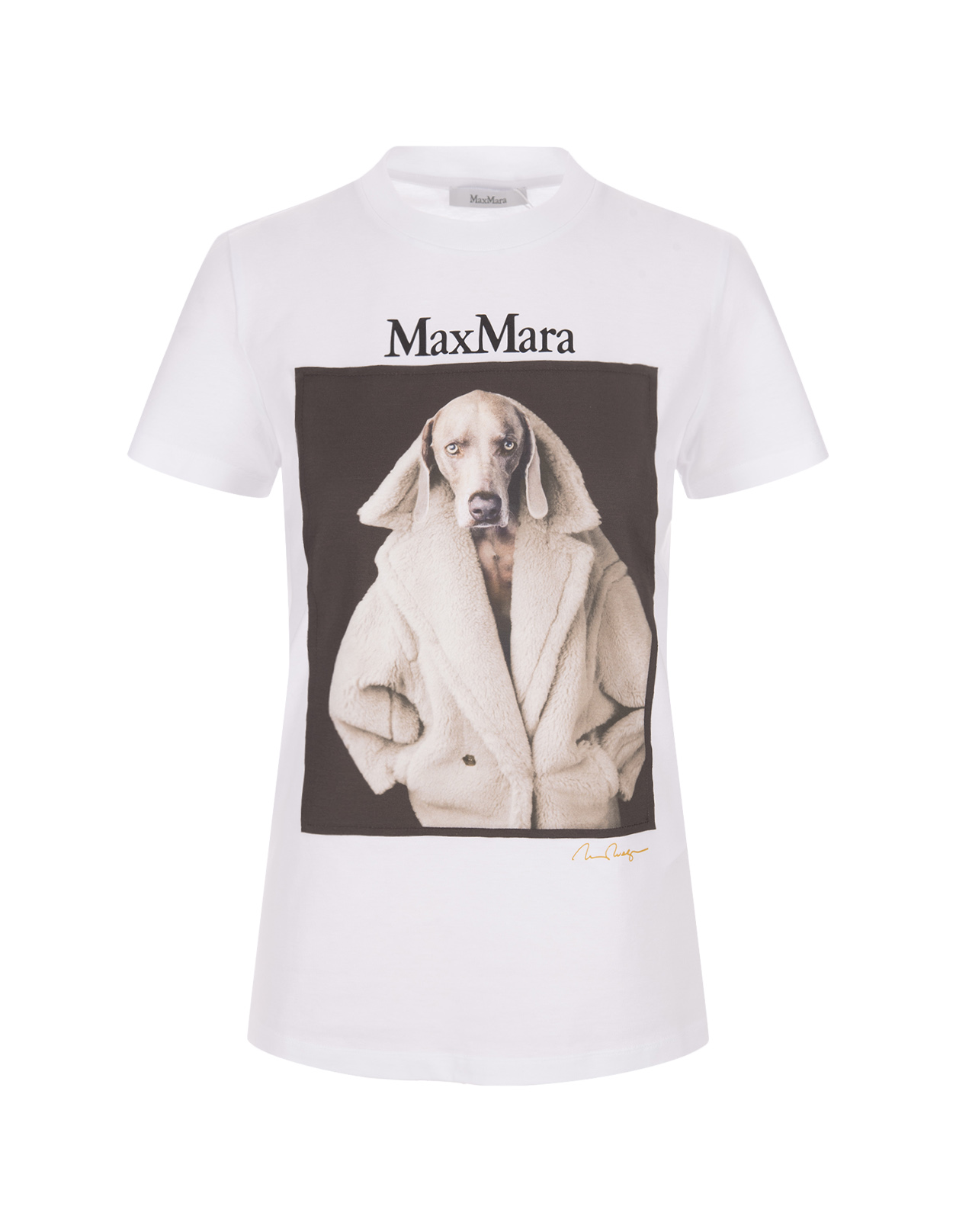 White Valido T-Shirt - MAX MARA - Russocapri
